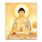Kinh Vô Lượng Thọ ícone
