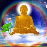 Pháp âm Online icône