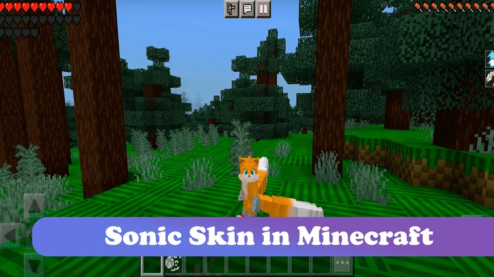 Мод на соник 1. Sonic Minecraft Addon.