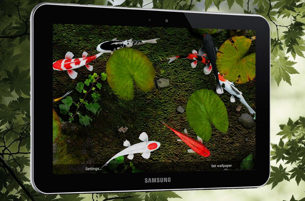 KOI Lucky Fish Live Wallpaper For Android APK Download