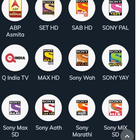 Sony Pal max wah  sab yay  y+ simgesi