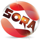 Sora Phone Wallpaper HD APK