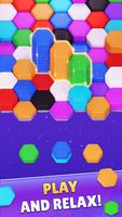 Color Hexa Sort Puzzle Game Cartaz