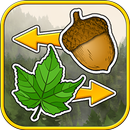 Sort the Forest APK