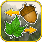 Sort the Forest icon
