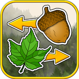 Sort the Forest أيقونة