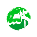Saudi Expert