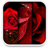 steeg live wallpaper te-icoon