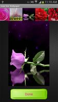 Rose Live Wallpapers ảnh chụp màn hình 3