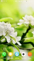 春天動態壁紙 APK 下載