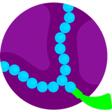 سبحة المسلم biểu tượng