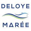 Deloye marée APK