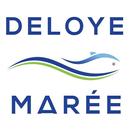 APK Deloye marée