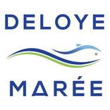 Deloye marée