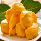 Benefits of jackfruit icône