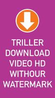 TDV - Triller downloader no watermark poster