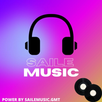 SAILE MUSIC APK