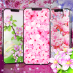 Sakura flowers live wallpaper