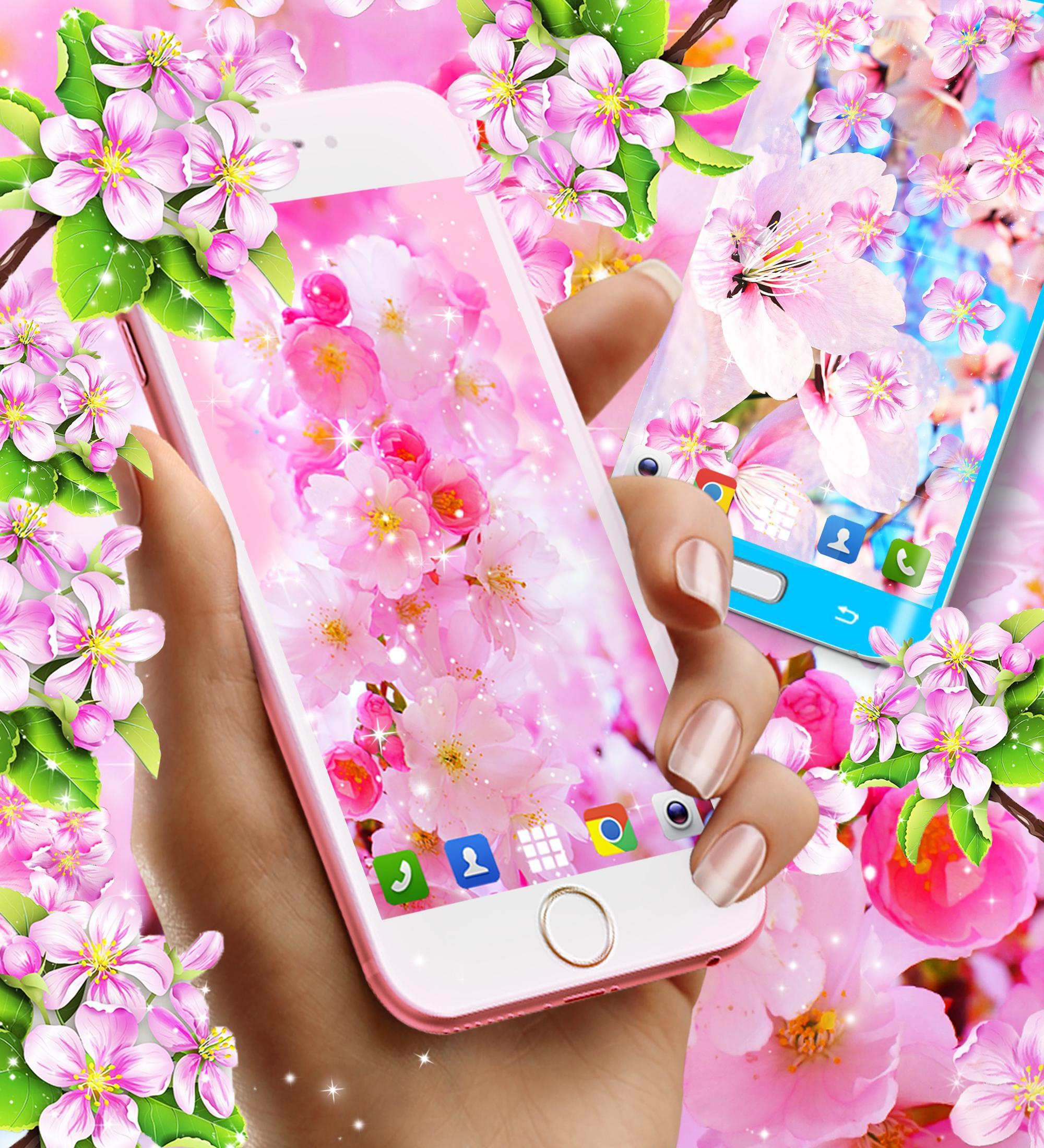  Gambar Wallpaper Wa Bunga Sakura Gambar Ngetrend dan VIRAL