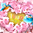 SAKURA*SAKU Live Wallpaper APK