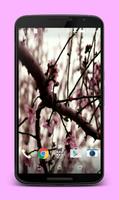 Sakura Live Wallpaper syot layar 2