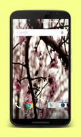 Sakura Live Wallpaper syot layar 3