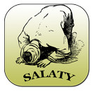 SALATY :ETAPE PAR ETAPE-APK