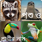 Learn Animal Bangla 图标