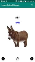 Learn Animal Bangla 截图 2