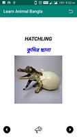 Learn Animal Bangla 截图 3