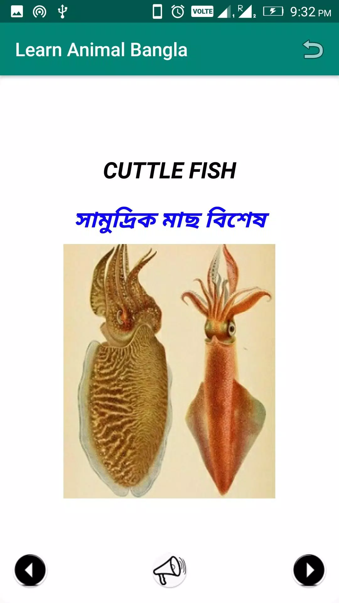 Learn Animal Bangla APK for Android Download Learn Animal Bangla APK for Android Download