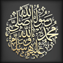 Seerat Un Nabi ﷺ Book APK