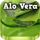 Beneficios de la sábila APK
