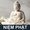 Niệm Phật - Gõ Mõ - Tụng Kinh