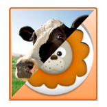 ”Memory Animal for Kids