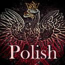 Polish Music Radio APK