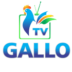 Web TV Gallo APP icône
