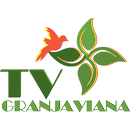 TV Granja Viana APK