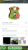 IE Nº 463 GRR capture d'écran 1