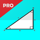 Right Angled Triangle - PRO APK