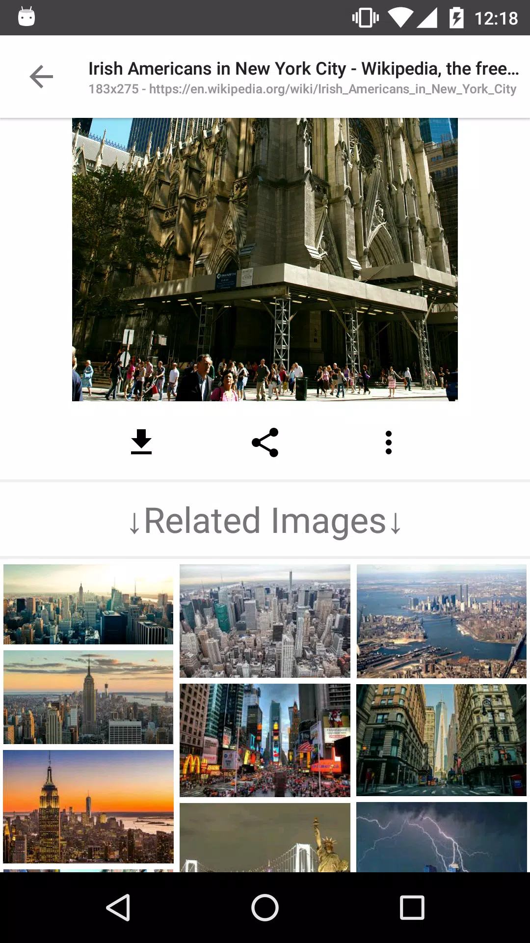 点击查看大图