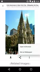 ImageSearchMan - Image Search XAPK 下載