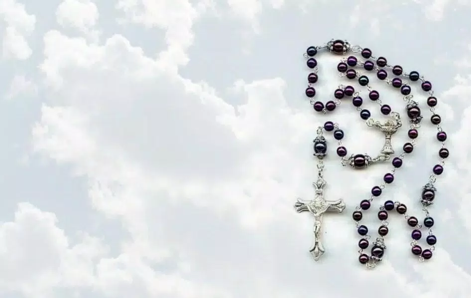 Descarga de APK de Santo rosario católico en español gratis app para Android