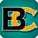 Blum Coin APK