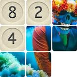 ”Fifteen: Competition