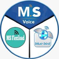 MS Flexilod স্ক্রিনশট 1