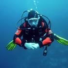 Guide to Scuba Diving icône