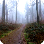 Scary Wald Video LWP