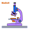 Experiment - BioCell
