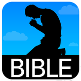 Scofield Study Bible ícone
